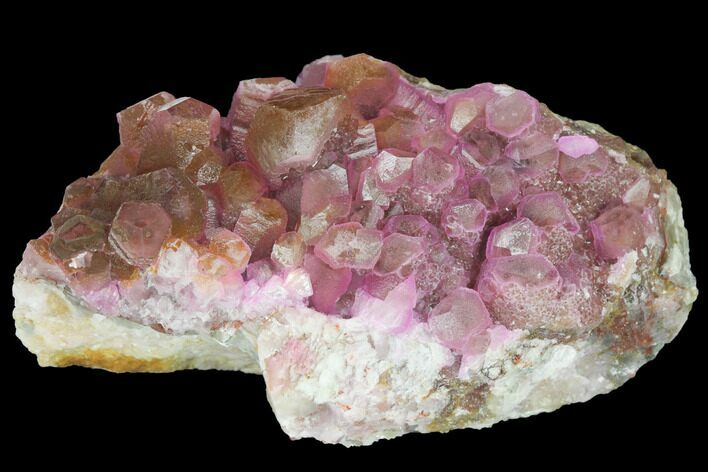 Cobaltoan Calcite Crystal Cluster - Bou Azzer, Morocco #133196